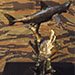 Texas artist sculptor Ken Arthur - Great White Shark - Solid Cast Bronze Silver Teeth, Garnet Eyes, and Granite Base