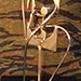 Texas artist sculptor Ken Arthur - Janus - Stainless Steel