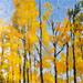 Texas painter Ken Arthur Vermont Woods #1 Painting - Acrylic and Enamel