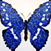 Texas painter artist Ken Arthur - Morpho Helena Peru - Mixed Media on Canvas 