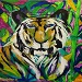 Texas painter artist Ken Arthur - Tiger, Acrylic on Canvas Painting