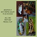 Texas painter artist Ken Arthur - Dedication to his muses